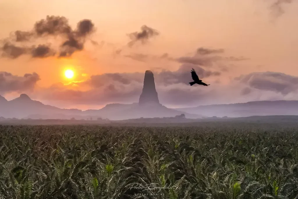 Paisagem costeira de São Tomé e Príncipe